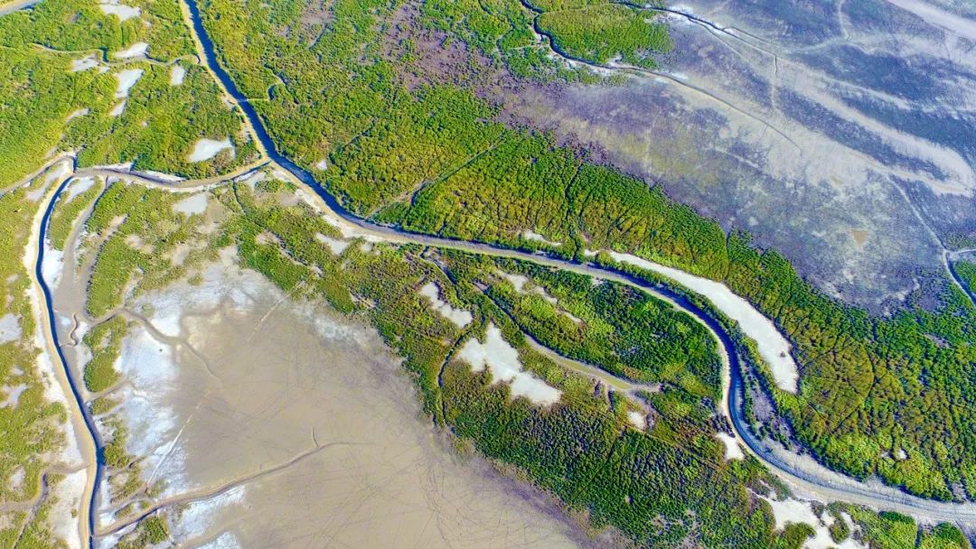 江苏的世界遗产旅游景区,江苏哪些地方被列入世界文化遗产