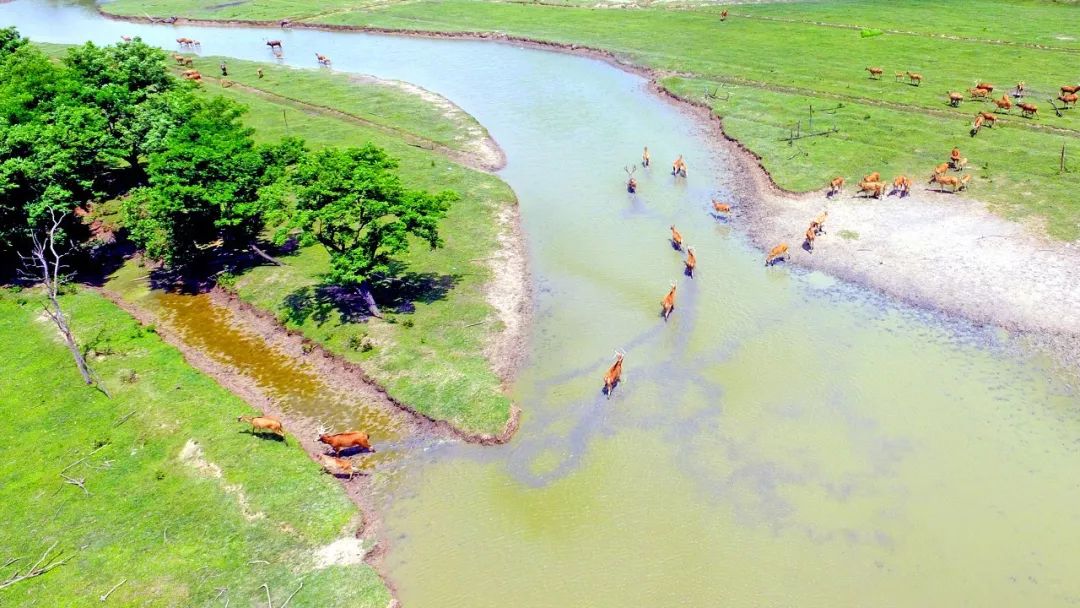 江苏的世界遗产旅游景区,江苏哪些地方被列入世界文化遗产