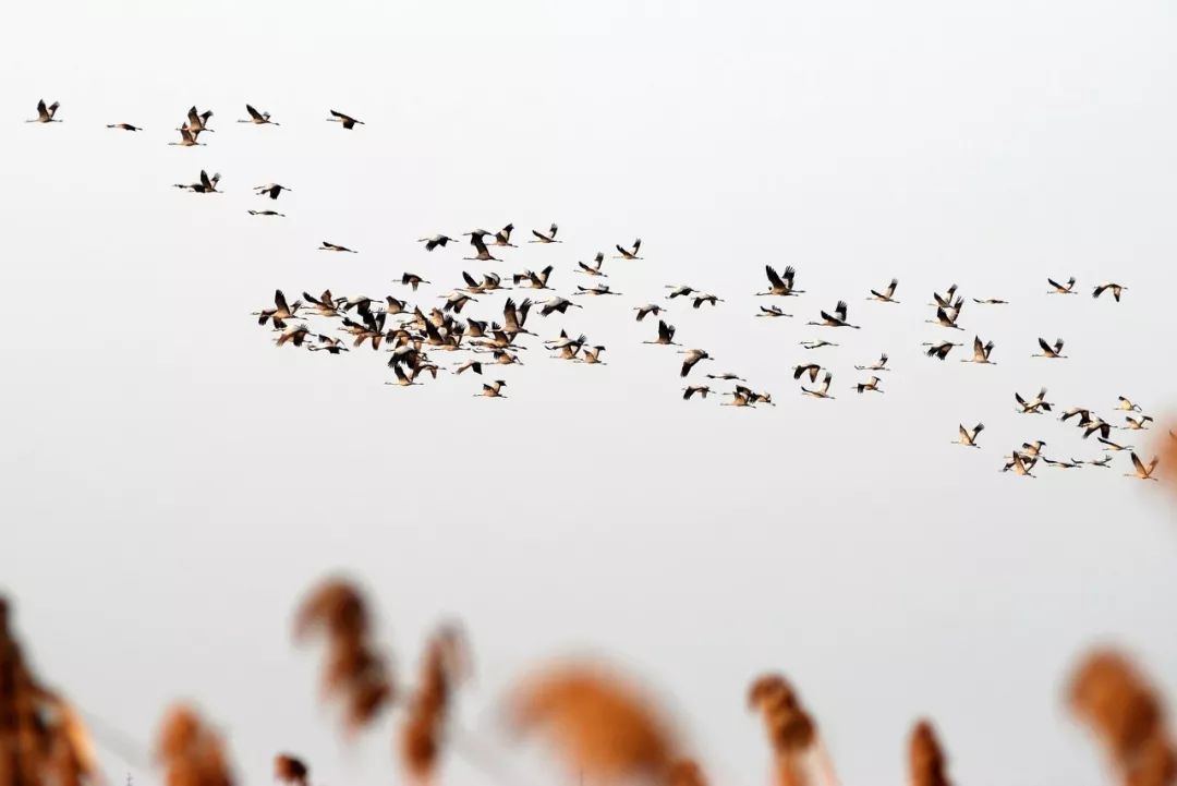 江苏的世界遗产旅游景区,江苏哪些地方被列入世界文化遗产