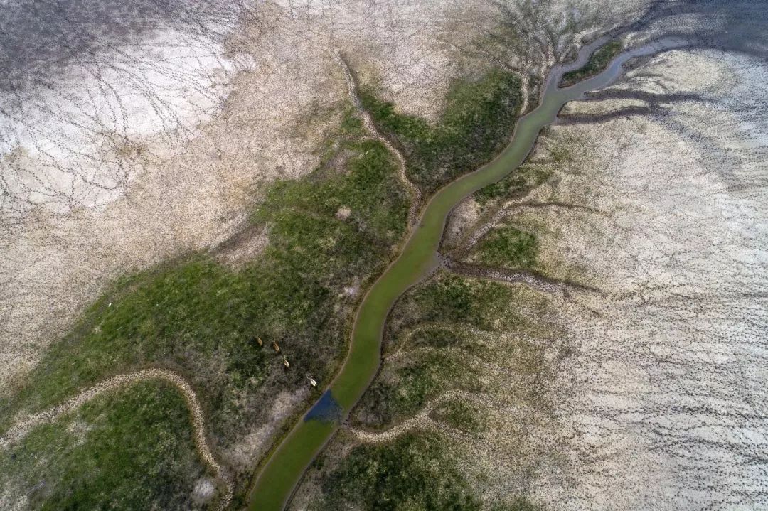 江苏的世界遗产旅游景区,江苏哪些地方被列入世界文化遗产