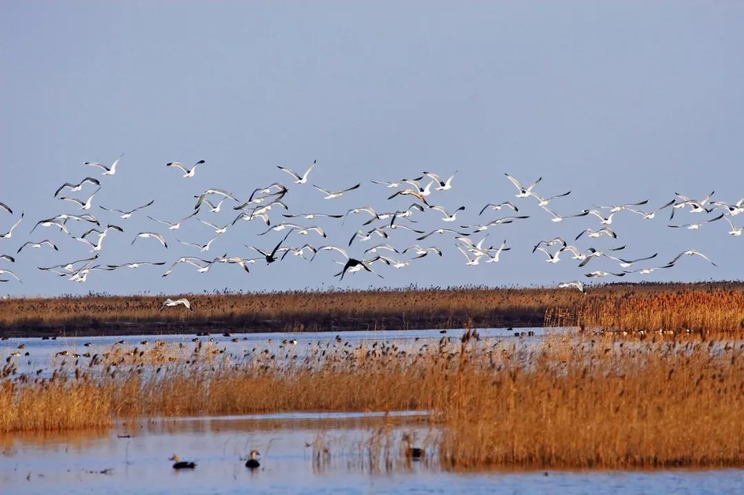 江苏的世界遗产旅游景区,江苏哪些地方被列入世界文化遗产