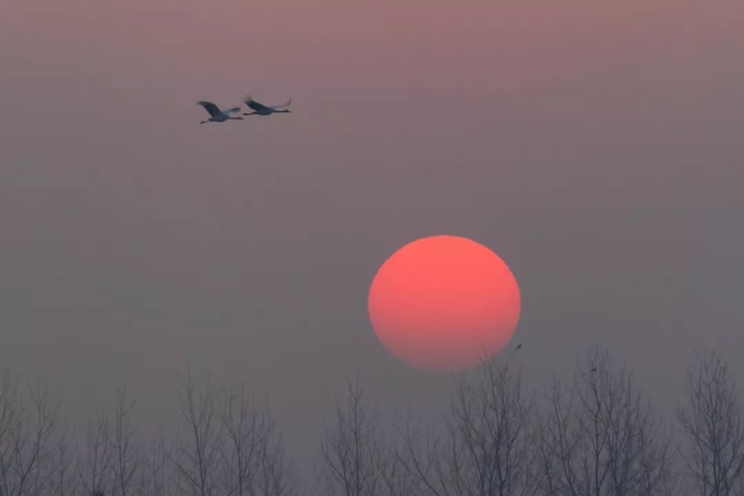 江苏的世界遗产旅游景区,江苏哪些地方被列入世界文化遗产