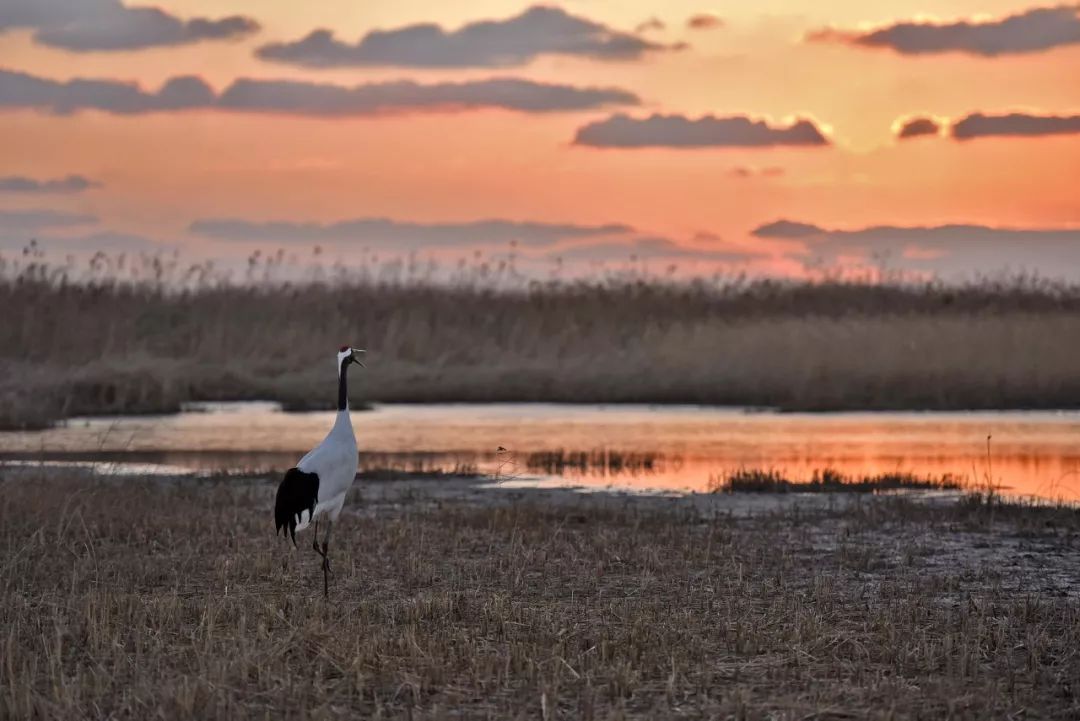 江苏的世界遗产旅游景区,江苏哪些地方被列入世界文化遗产