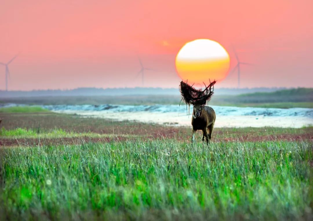 江苏的世界遗产旅游景区,江苏哪些地方被列入世界文化遗产