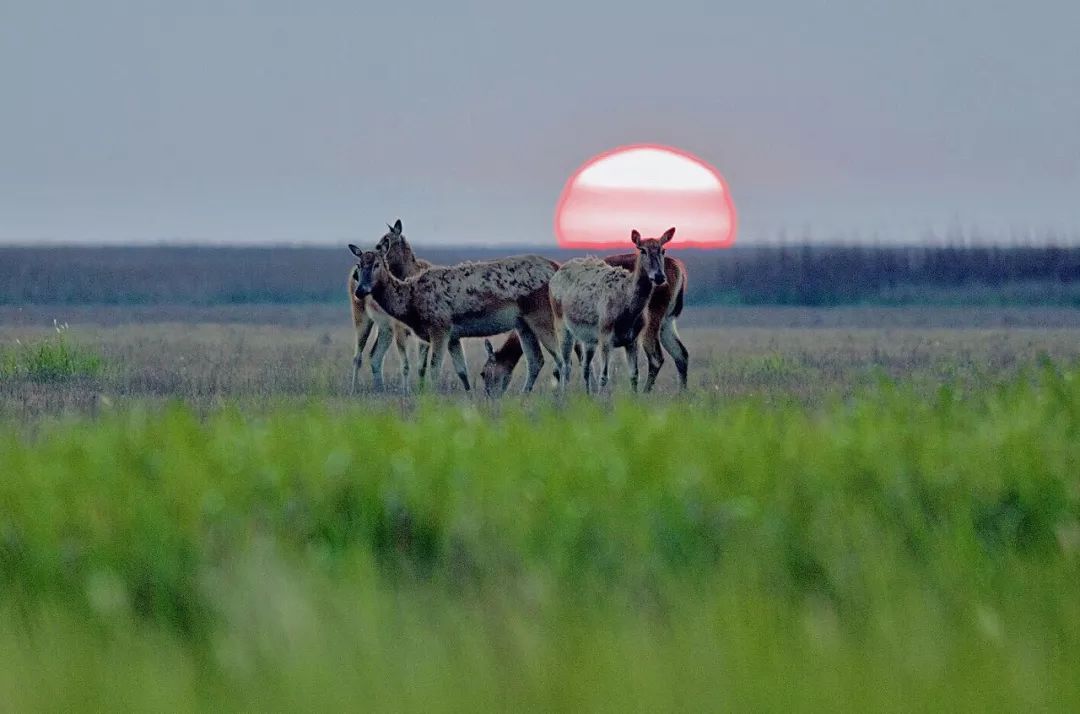 江苏的世界遗产旅游景区,江苏哪些地方被列入世界文化遗产
