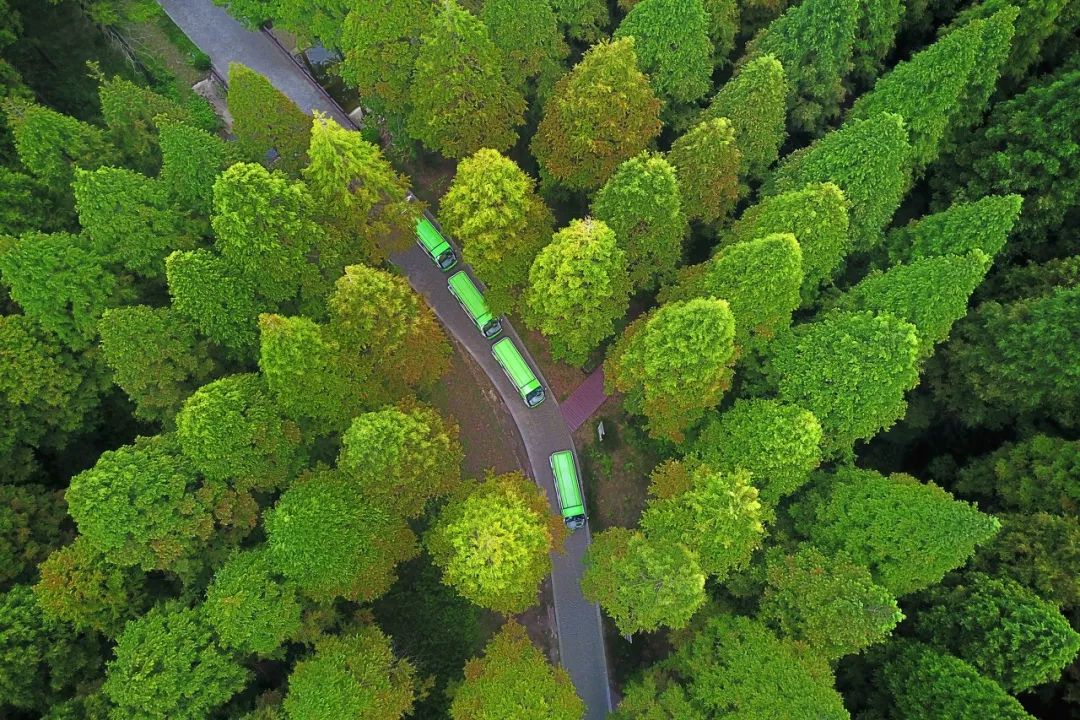 江苏的世界遗产旅游景区,江苏哪些地方被列入世界文化遗产