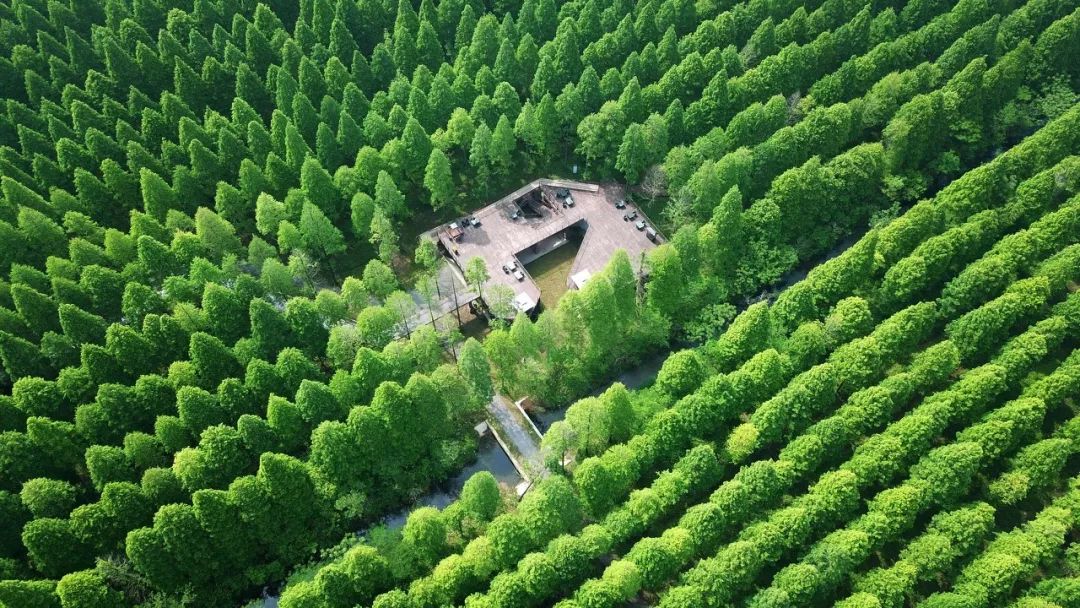 江苏的世界遗产旅游景区,江苏哪些地方被列入世界文化遗产