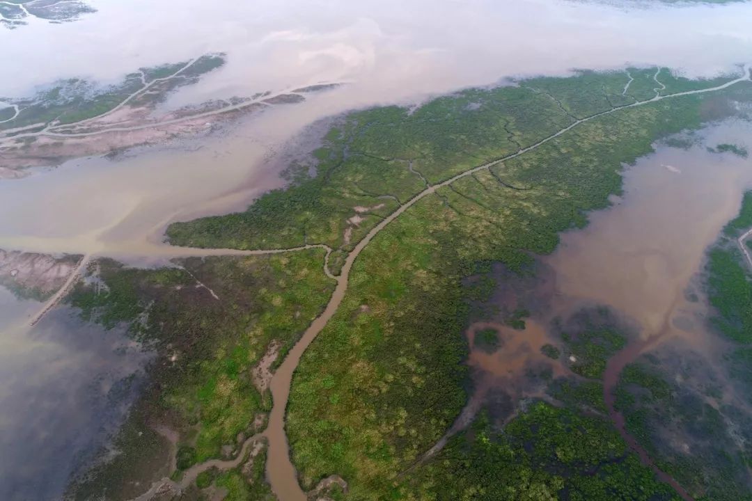 江苏的世界遗产旅游景区,江苏哪些地方被列入世界文化遗产