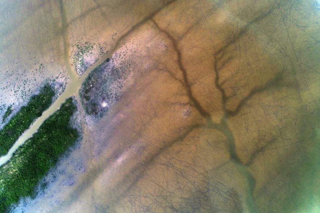 江苏的世界遗产旅游景区,江苏哪些地方被列入世界文化遗产