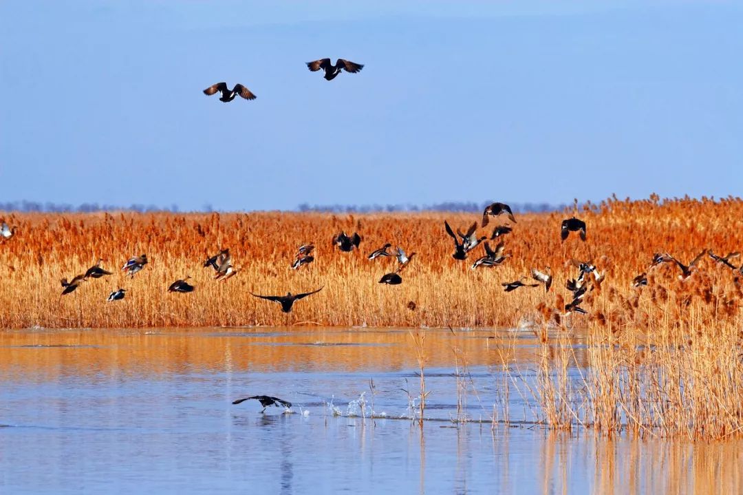 江苏的世界遗产旅游景区,江苏哪些地方被列入世界文化遗产