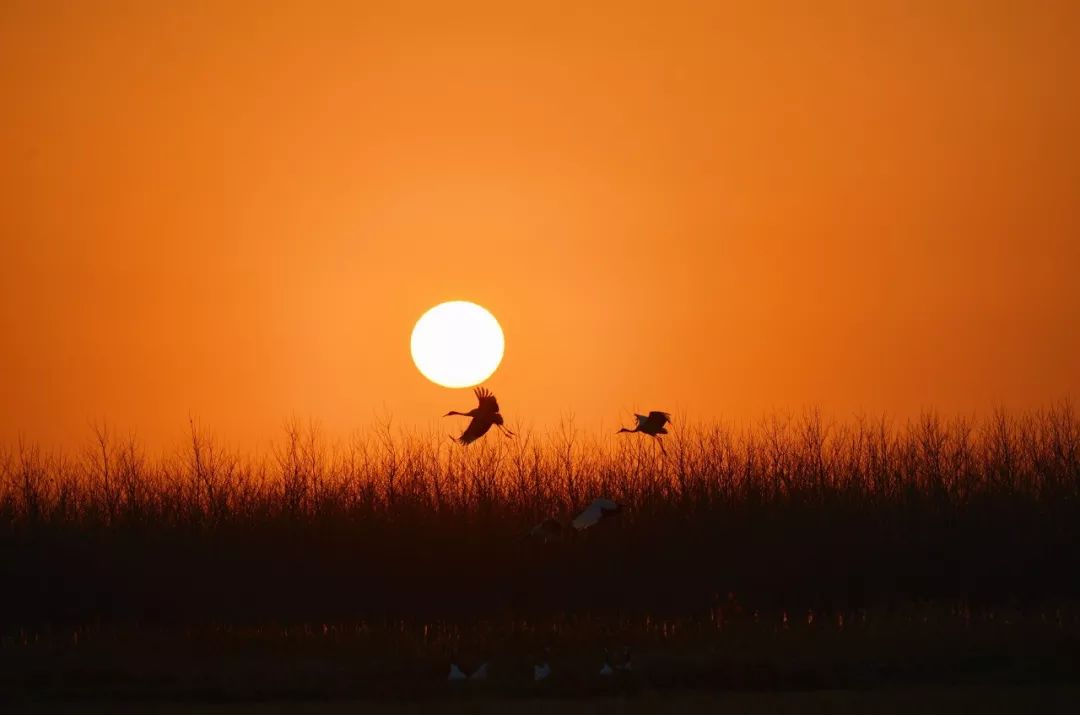 江苏的世界遗产旅游景区,江苏哪些地方被列入世界文化遗产