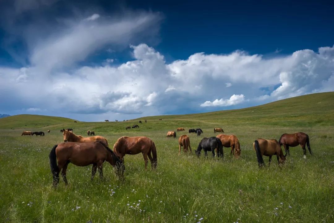 什么是张掖文案,什么是甘肃省
