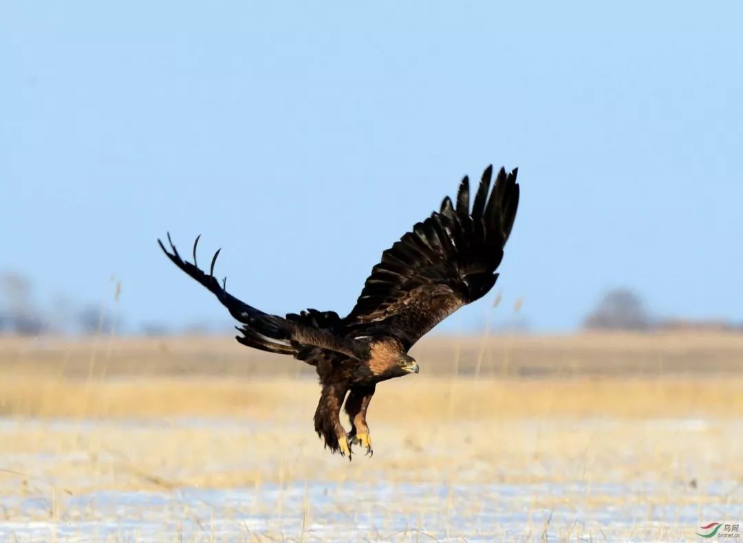 什么是张掖文案,什么是甘肃省