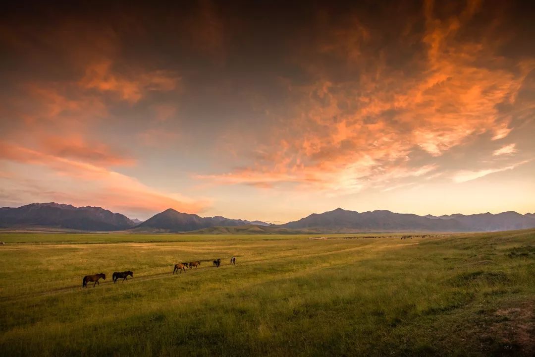 什么是张掖文案,什么是甘肃省