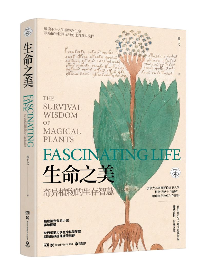 这帮美国人的工资是中国同行的20倍，竟公然索要“性贿赂”！中国还欠了一个天大人情？