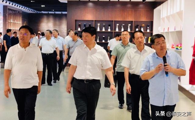 安泰新时代项目,安泰环境重大专项