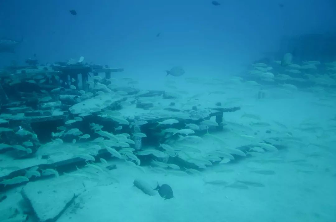 夏威夷旅游攻略阿罗哈,夏威夷maui岛旅游攻略