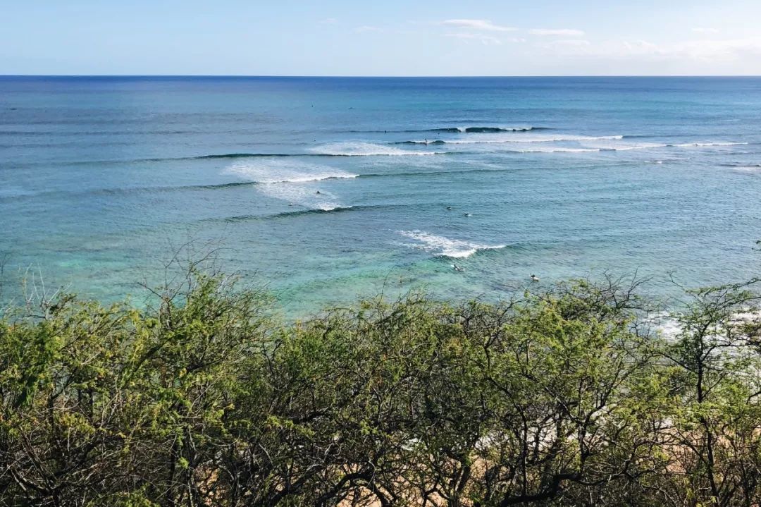 夏威夷旅游攻略阿罗哈,夏威夷maui岛旅游攻略
