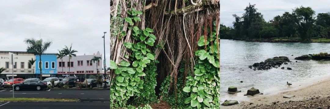 夏威夷旅游攻略阿罗哈,夏威夷maui岛旅游攻略
