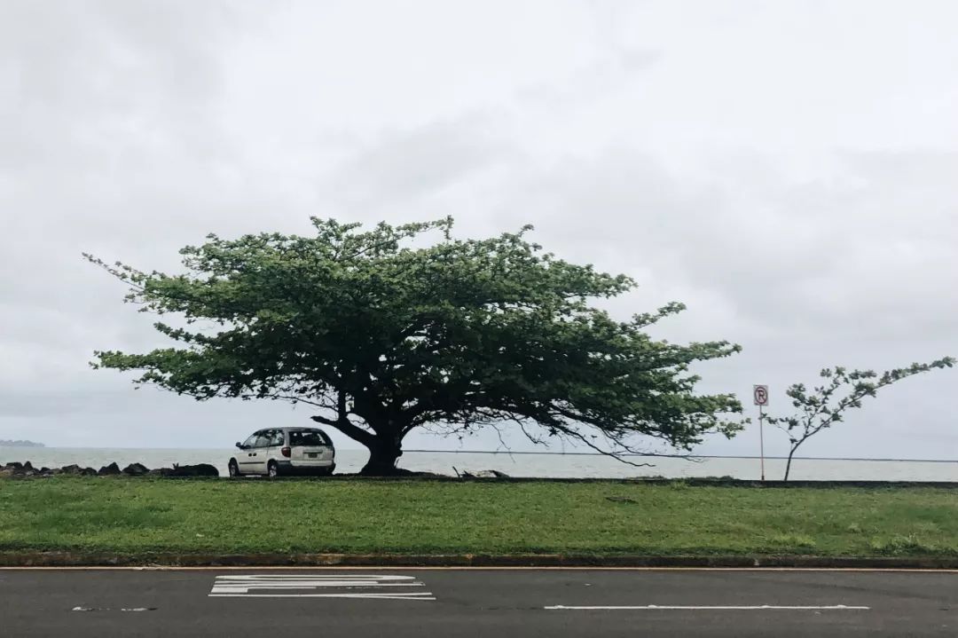 夏威夷旅游攻略阿罗哈,夏威夷maui岛旅游攻略