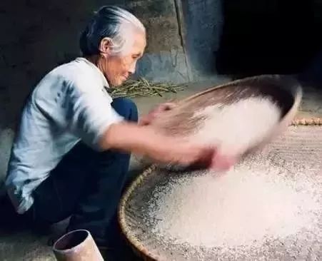 米虫最怕三样东西,怎么防止米虫到处爬