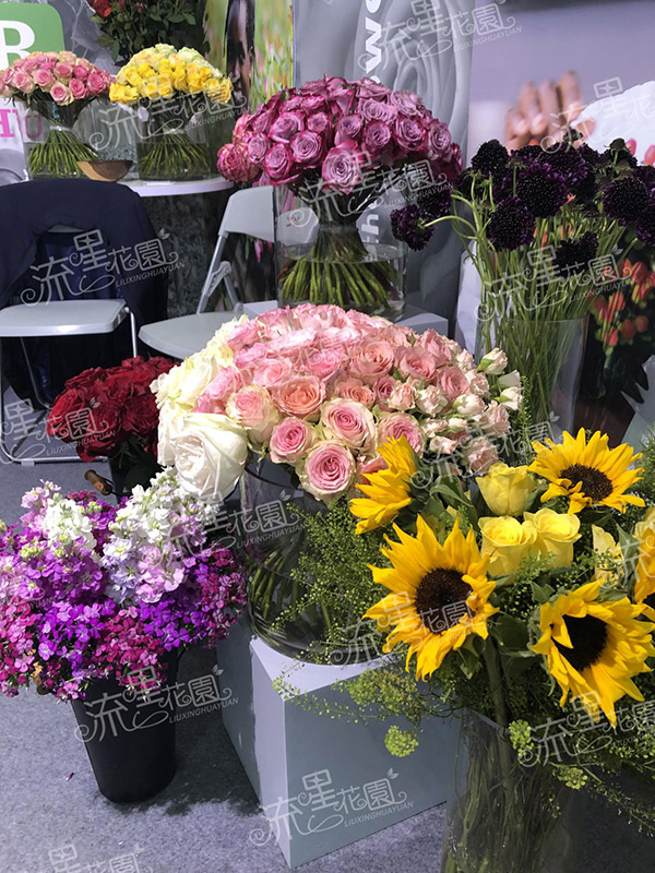 开一个花店前期需要多少钱,开一个花店大概需要多少钱费用