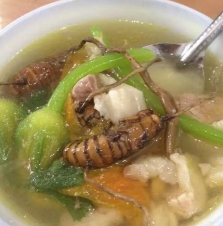 都在夏天发病!宁波夫妇相继呕吐全身抖动!只因喝了这种汤