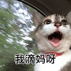 女孩酒后叫代驾后续,浙江义乌女子喝醉