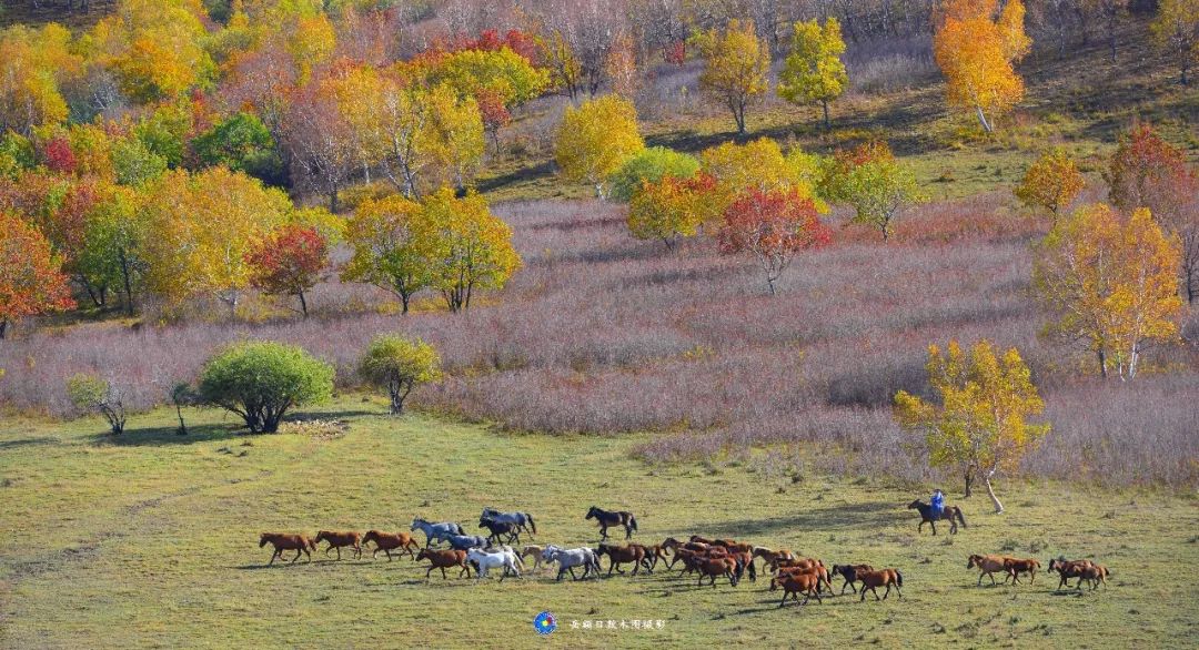 岳额日敦木图：这是美丽家乡科右中旗