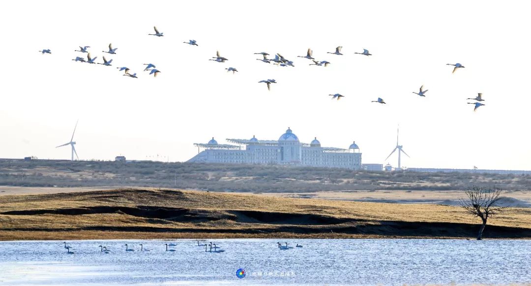 岳额日敦木图：这是美丽家乡科右中旗
