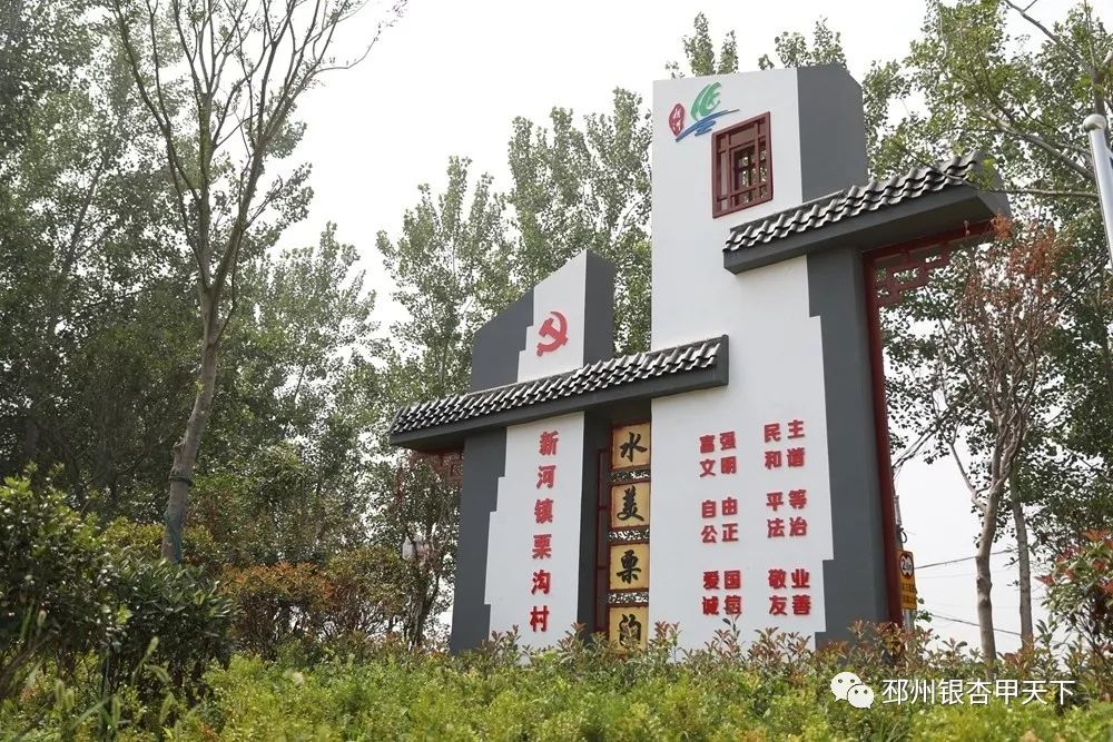 农村臭水沟变成小溪,臭水沟改造成清澈小河