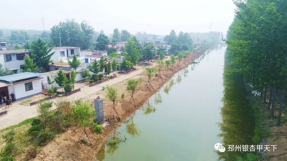 农村臭水沟变成小溪,臭水沟改造成清澈小河