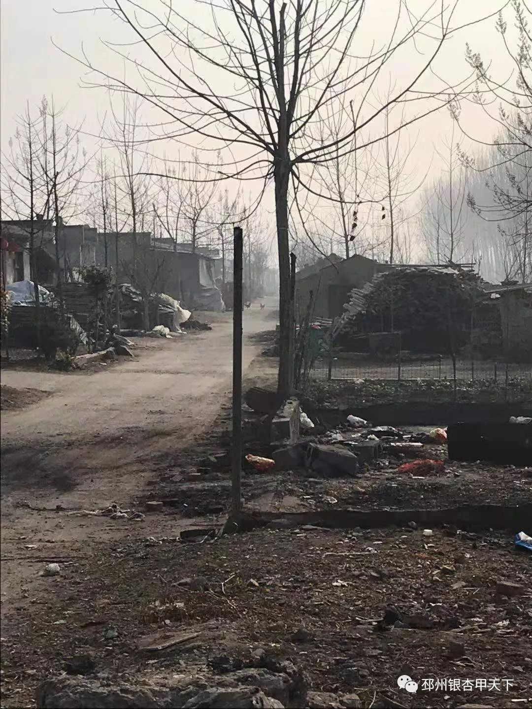 农村臭水沟变成小溪,臭水沟改造成清澈小河