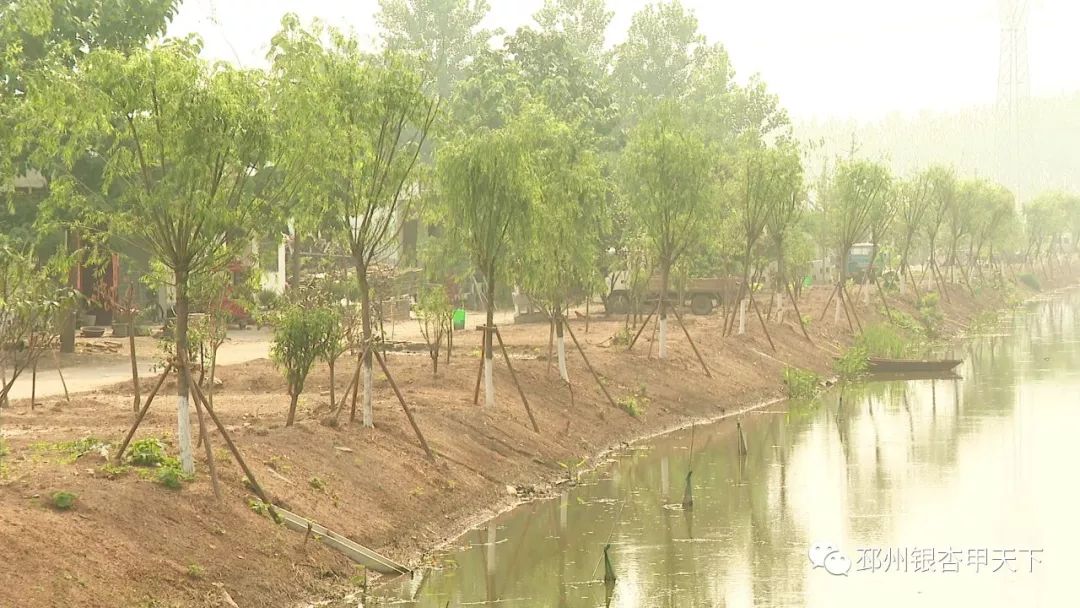 农村臭水沟变成小溪,臭水沟改造成清澈小河