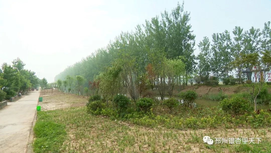 农村臭水沟变成小溪,臭水沟改造成清澈小河