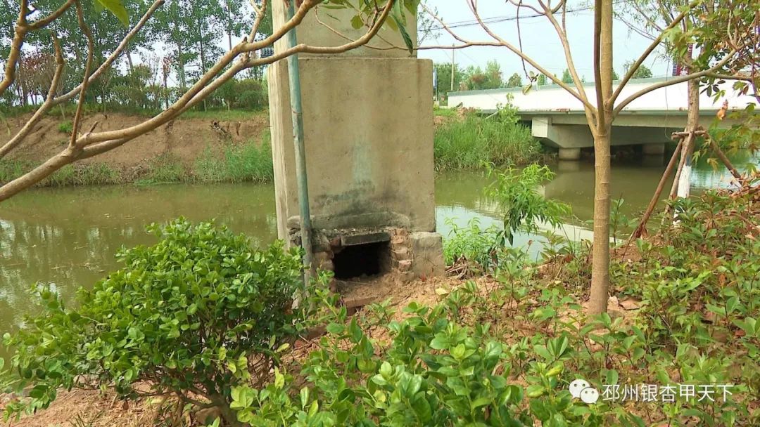 农村臭水沟变成小溪,臭水沟改造成清澈小河