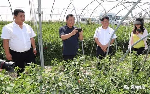 【壮丽70年·奋斗新时代】京九晚报整版:阅不完睢阳风景,说不尽精彩故事——商丘报业全媒体大型主题报道采访八分团睢阳区采访掠影