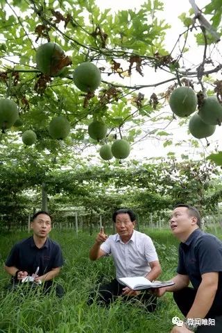 【壮丽70年·奋斗新时代】京九晚报整版:阅不完睢阳风景,说不尽精彩故事——商丘报业全媒体大型主题报道采访八分团睢阳区采访掠影