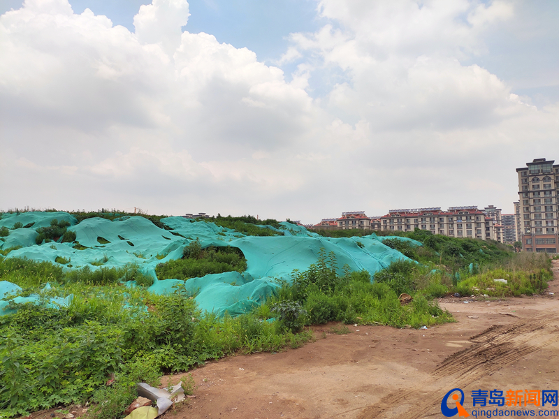 青岛足球比赛场地在哪里,青岛专业足球场最新进展