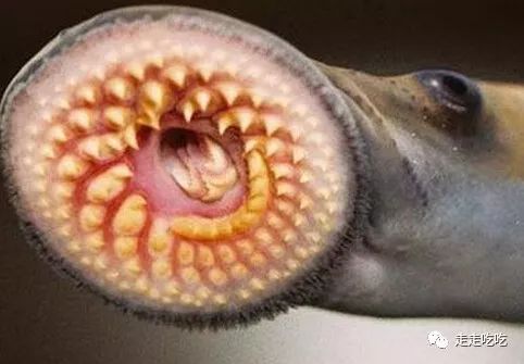 巴塞罗那|买好饭票去巴塞罗那——Tickets