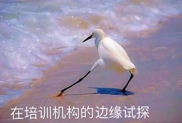 校外培训机构白名单合法,全国校外培训机构白名单查询