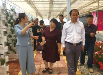 省地理标志产业协会会长孙明香,孙明香地理标志