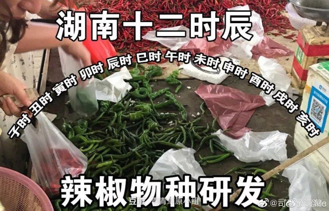 澳门买免税东西限制规则,澳门出关购物交税