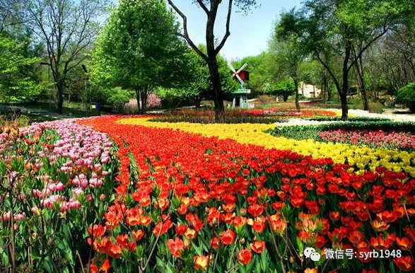 暑假沈阳游玩攻略图,沈阳免费游玩的地方推荐带孩子