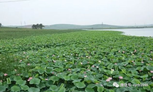 暑假沈阳游玩攻略图,沈阳免费游玩的地方推荐带孩子