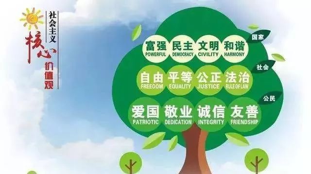 欧美国家很少吹空调,外国人为什么不吹空调