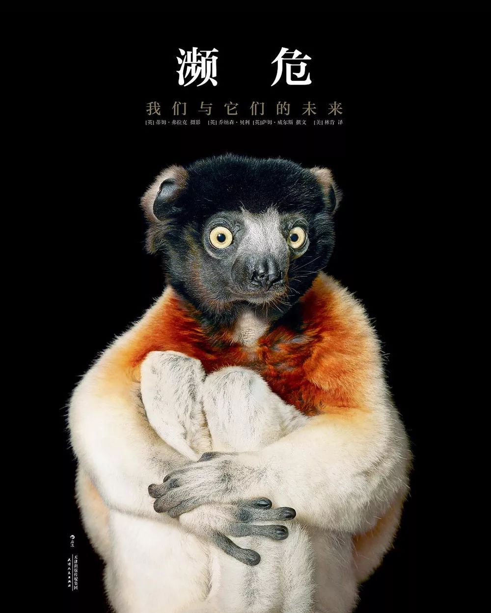 「一周影像资讯」相机迷制作出世界上最小胶片相机；蜷川实花执导电影《人间失格》九月上映