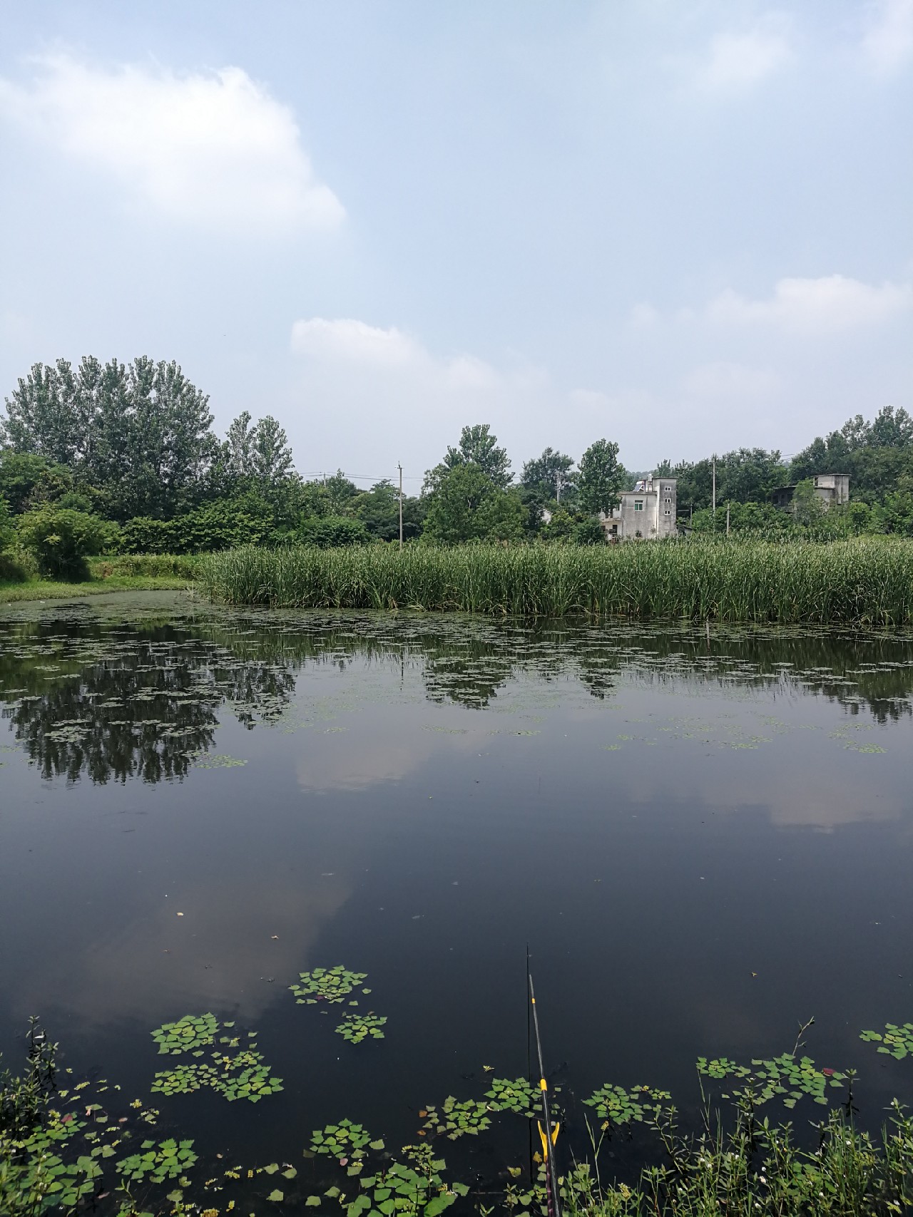 头顶烈阳开拓钓位逐泡寻鲫放流可怜鱼获