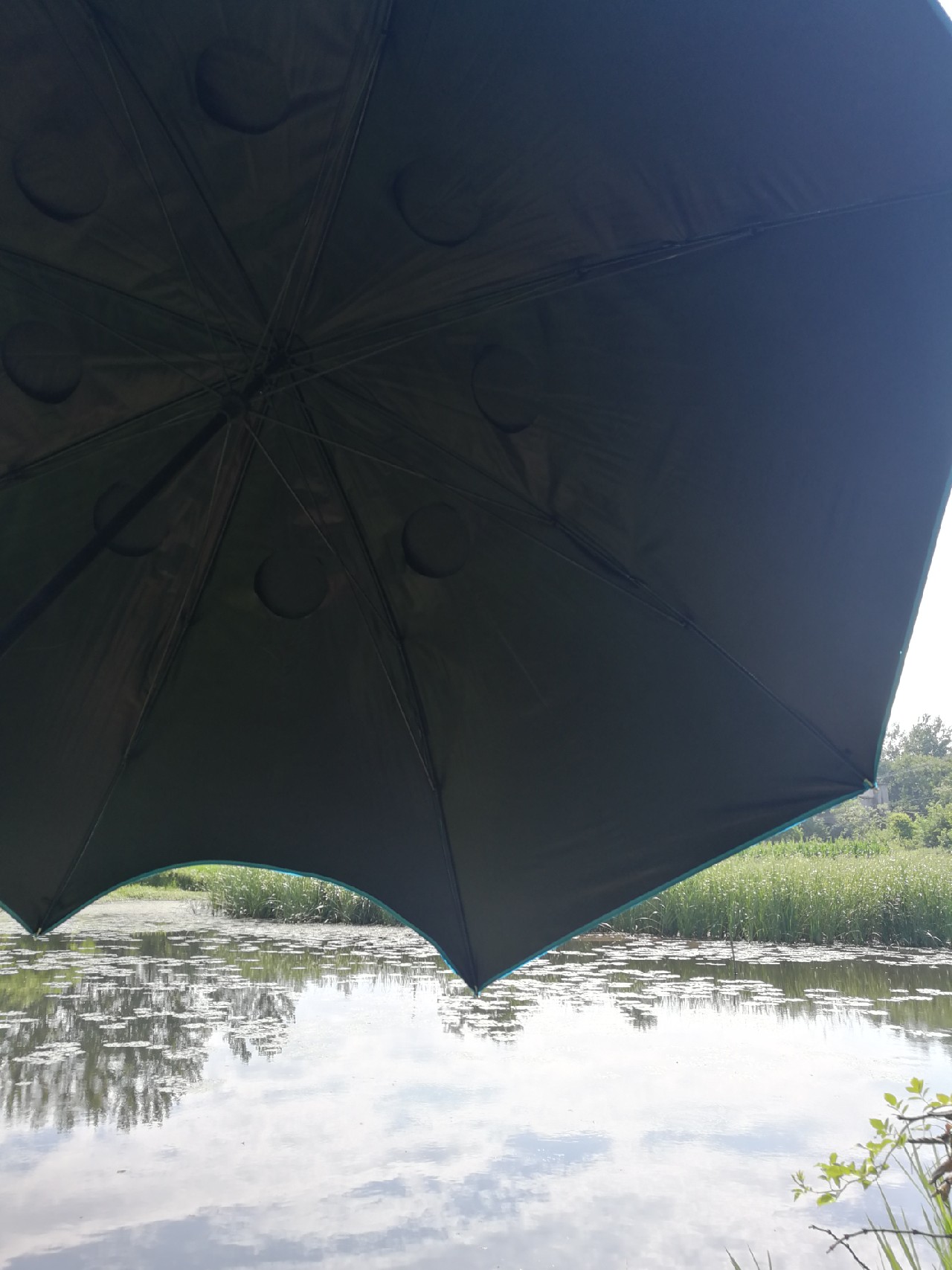 头顶烈阳开拓钓位逐泡寻鲫放流可怜鱼获