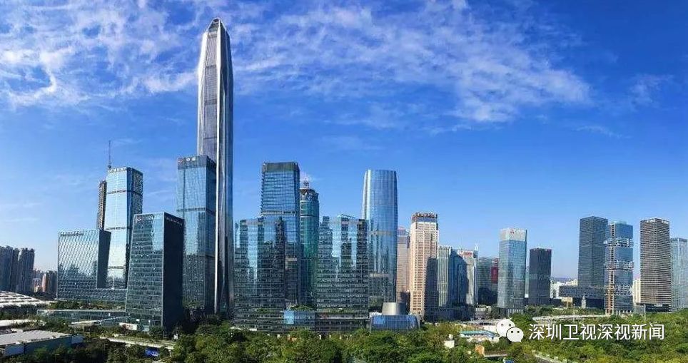 深圳隐形大企业,深圳隐形富豪集团